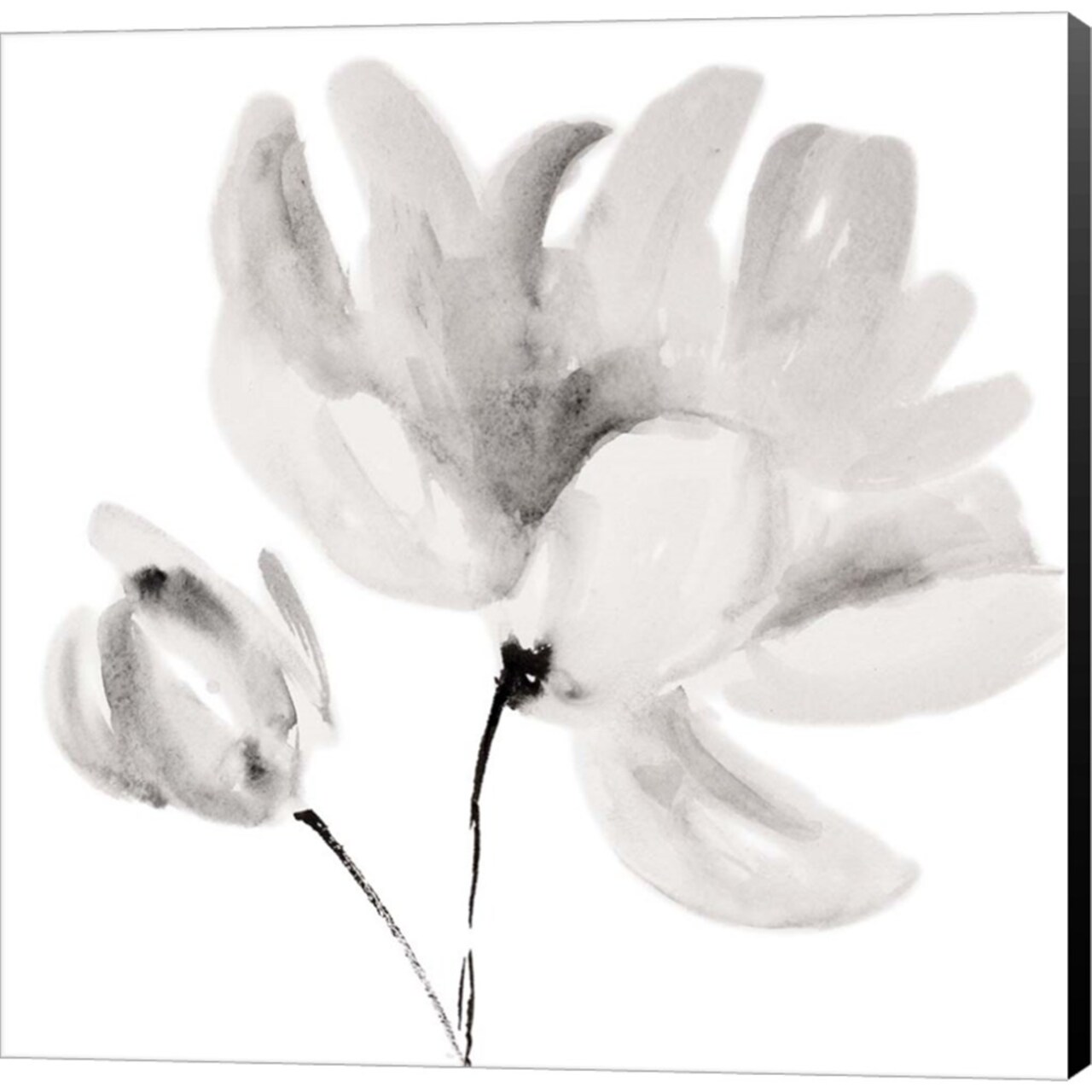 Rise With The Sun Square II by Lanie Loreth 24" x 24" Canvas Wall Art